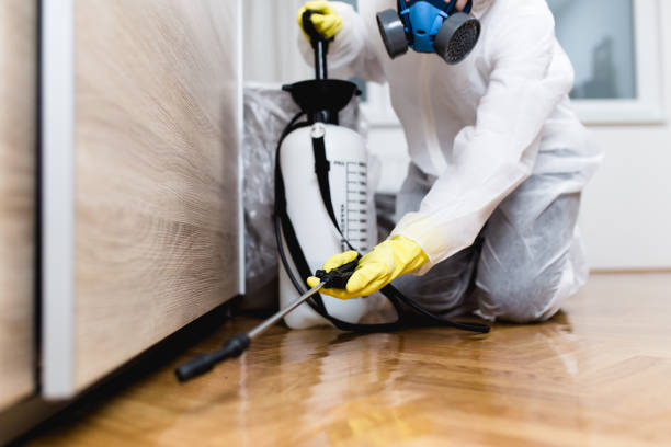 Best Emergency Pest Control  in Madras, OR