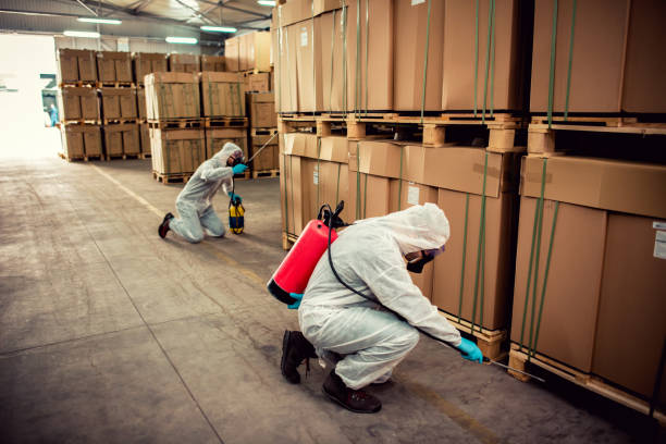 Pest Prevention Services in Madras, OR