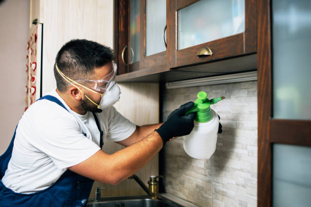 Best Insect Control  in Madras, OR