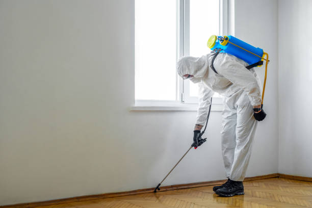 Best Pest Prevention Services  in Madras, OR