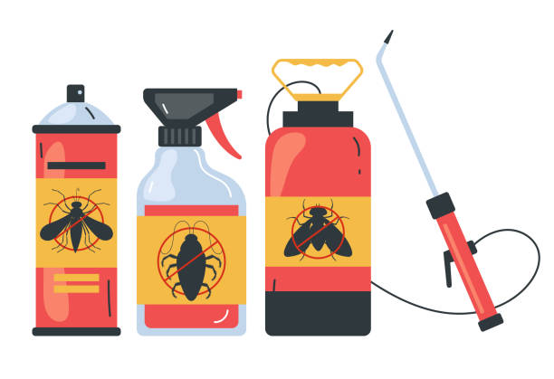 Best Termite Control Services  in Madras, OR